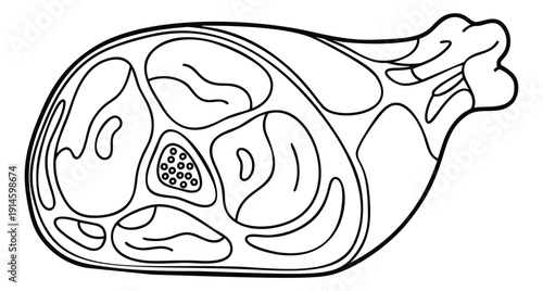Hand drawn line art illustration of a meat leg depicting a stylized cut for food and cooking