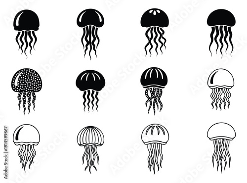 Stylized jellyfish set featuring various forms and patterns of marine life for ocean themed graphics