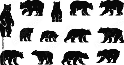 Bear silhouette vector collection, black wild animal standing walking and roaring poses isolated on white background for logo, stencil, tattoo, branding design