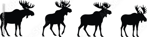 Moose silhouette vector collection, black wild forest animal with large antlers standing and walking isolated on white background for logo, stencil design