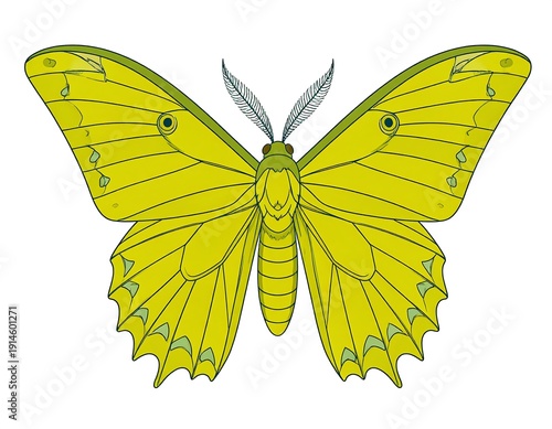 Stylized illustration of a yellow butterfly with open wings and feathery antennae on a white background