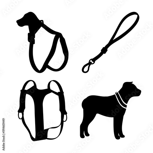 Collection of essential dog walking accessories including a harness, leash, and a dog wearing a collar