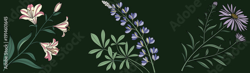 Hand-Drawn Botanical Illustration Set of Lilies, Lupines and Aster Flowers on Dark Green Background
