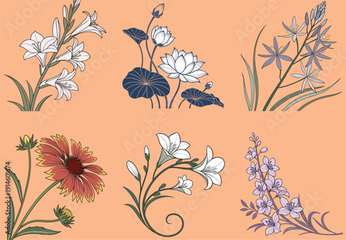 Hand-Drawn Botanical Illustration Set of Elegant Lilies, Lotus, and Wildflowers on Peach Background