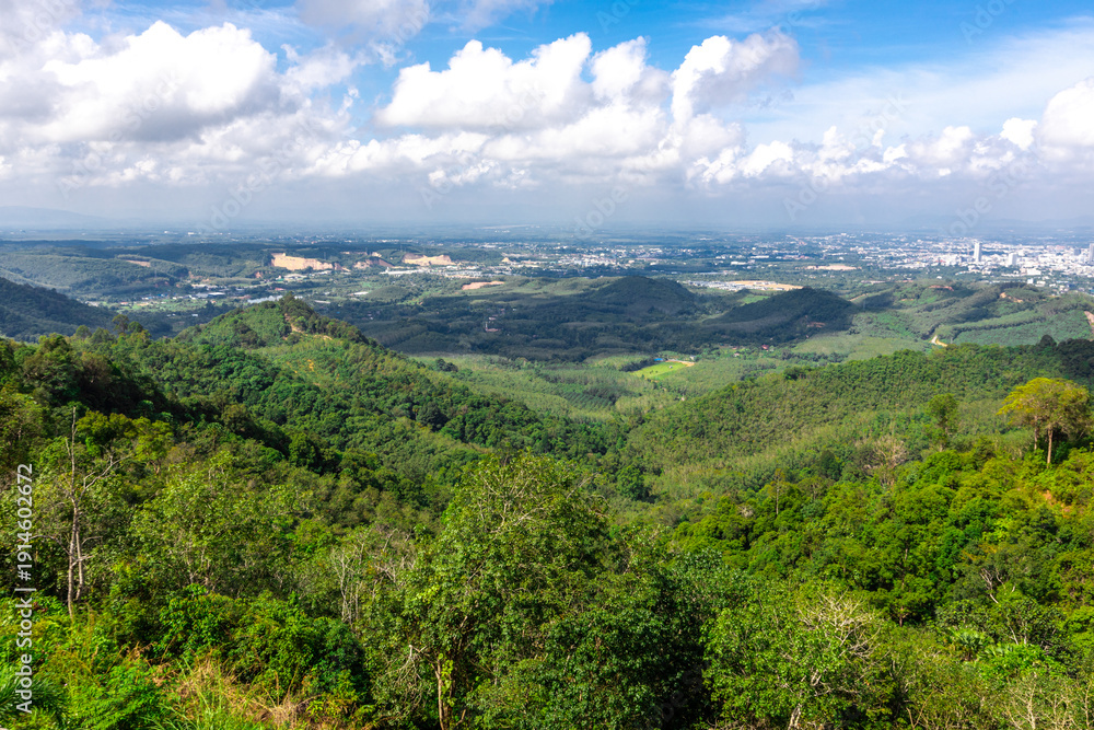 Fototapeta premium Panoramic nature background On a high mountain, you can see the scenery of trees, grass, and lush rice fields. While traveling on an adventure trip