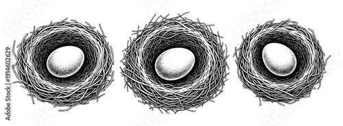 Detailed black and white bird nests each holding a single white egg a white background