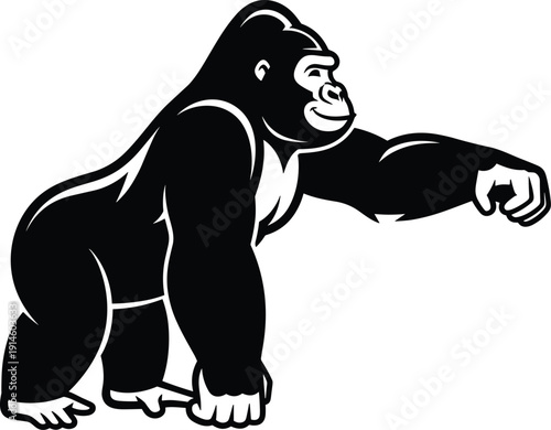 Black silhouette of a powerful silverback gorilla walking, wild primate animal, nature and wildlife,
