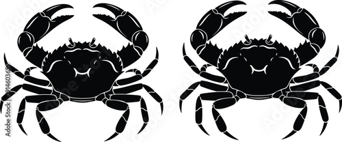 Black silhouette of two crabs with large claws, sea animal, ocean wildlife, marine life