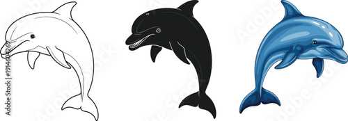 Dolphin jumping set with outline, black silhouette and colorful realistic style, marine mammal wildlife