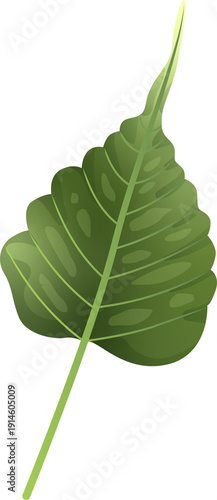Green Leaf Isolated on Transparent Background PNG Decorative Summer Nature