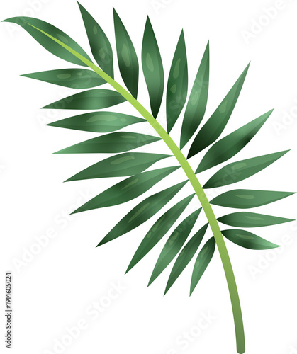 Green Leaf Isolated on Transparent Background PNG Decorative Summer Nature