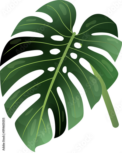 Green Leaf Isolated on Transparent Background PNG Decorative Summer Nature