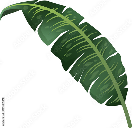 Green Leaf Isolated on Transparent Background PNG Decorative Summer Nature
