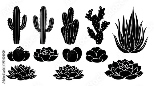 Collection of Black Silhouette Cacti Succulents and Berries White Background cactus