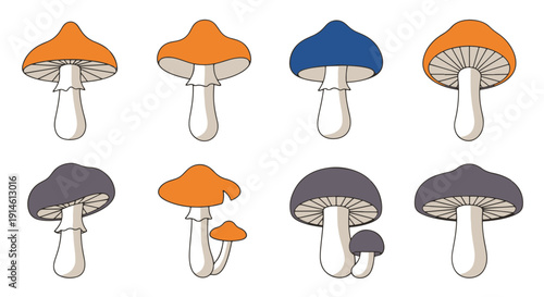Assortment of Colorful Stylized Mushroom Fungi Featuring Orange Blue and Gray Caps for Decorative Design