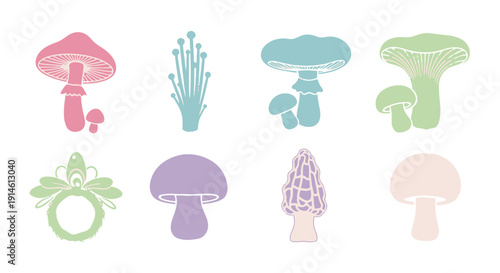 Diverse Hand drawn Mushrooms Set with Various Fungi Types and Pastel Colors Ideal for Botanical Nature Design Elements
