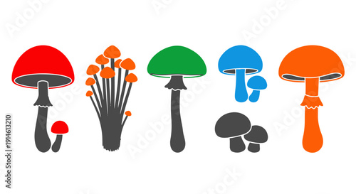 Vibrantly Colored Mushroom Collection Showcasing Various Species and Shapes in a Simplified Graphic Style