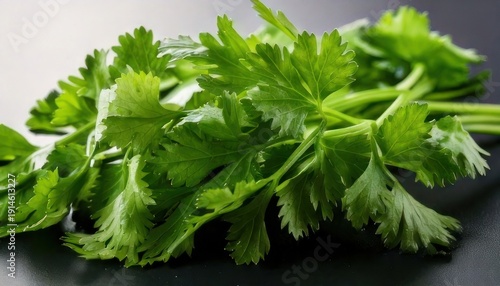 Fresh Cilantro Bunch on Dark Surface - Vibrant Green Herb.