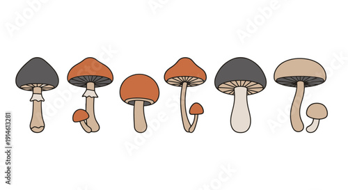 Assortment of Stylized Forest Mushrooms Featuring Diverse Cap and Stem Shapes in Earthy Natural Tones