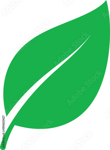 Green leaf icon with white vein and stem nature plant