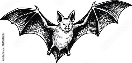 Black and white silhouette of bat with spread wings, detailed creative flying animal design