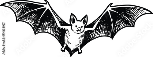 Black and white silhouette of bat with spread wings, detailed creative flying animal design