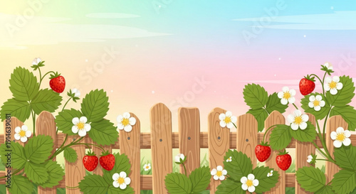 Strawberry plants with ripe red strawberries and white flowers growing over a wooden fence at sunset