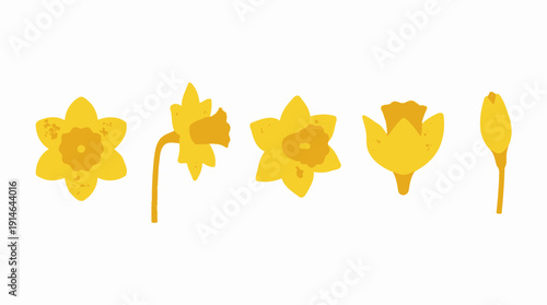 Yellow flowers on green stems isolated. Spring Vector Packs. EPS Editable