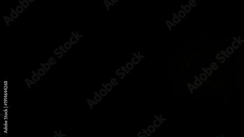 Wallpaper Mural Cinematic animation revealing the glowing word startup transforming into a bright burst of golden energy particles against a deep black background Torontodigital.ca