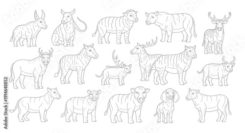 Collection of Line Art Animals for Coloring Pages.