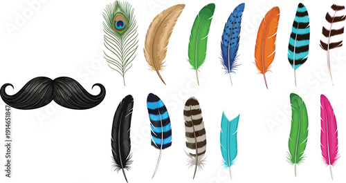 Vintage Style Handlebar Mustache and Colorful Feather Collection Including Peacock and Striped Bird Plumes for Hipster Branding Masquerade Invitations and Boho Creative Designs