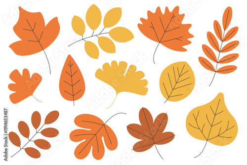 Collection of stylized autumn leaves in warm orange and yellow colors a white background