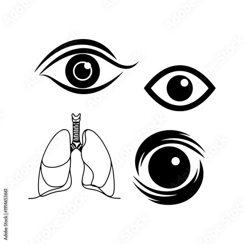 A collection of medical illustrations