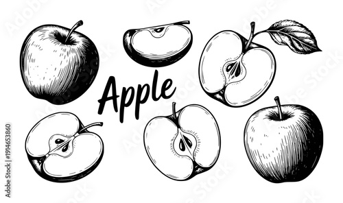 Hand drawn black and white of whole and sliced apples with leaf and text fruit food