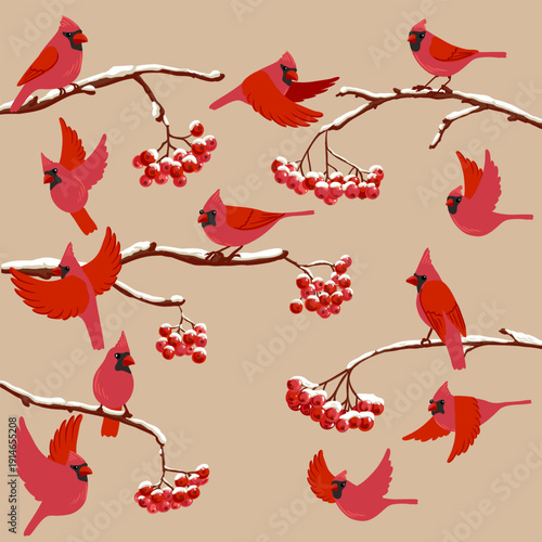 vector drawing bird, nothern cardinal at rowan branch with red berries and snow in winter, hand drawn wildlife illustration
