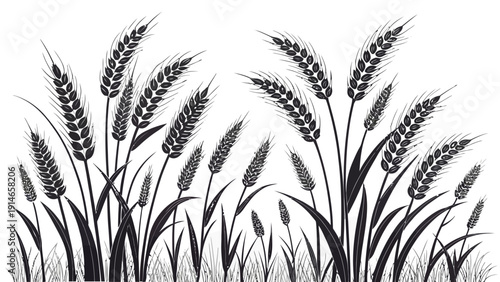 Elegant black wheat stalks swaying in the wind outdoors