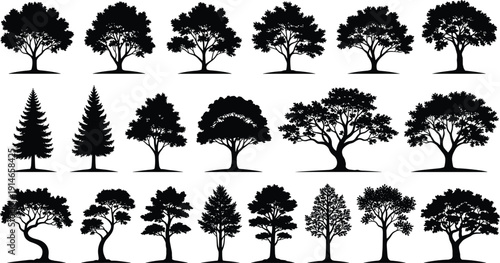Tree silhouette vector set, black white clipart of forest woodland foliage branching patterns landscape nature design, plant illustration artwork bundle
