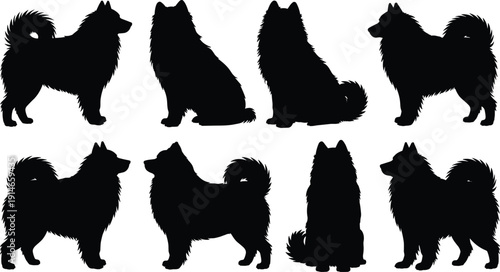 Fluffy dog silhouette poses set, different standing and sitting pet shapes, black animal vector collection isolatedFluffy dog silhouette poses set, different standing and sitting 