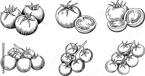  Hand-drawn vector set of ripe tomatoes and sliced tomatoes, botanical food illustrations, garden harvest produce, rustic kitchen ingredient clipart, black and white line art