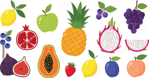 Colorful assorted fruits collection including tropical and seasonal produce botanical vector illustration isolated on white background