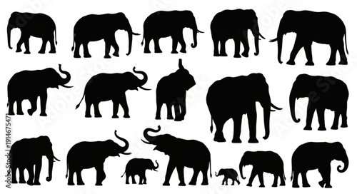 Collection of Elephant Silhouettes in Various Poses.