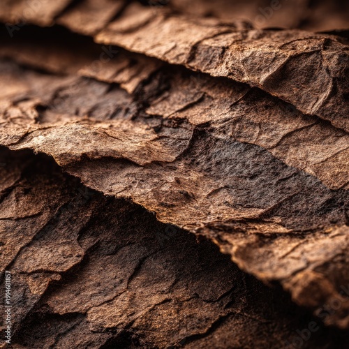 Closeup Tobacco Leaf Texture