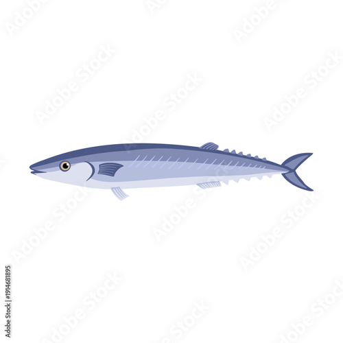 vector drawing Pacific saury, mackerel pike, Commercial fish isolated at white background, hand drawn illustration
