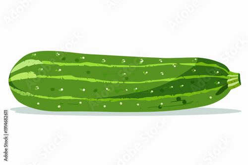 
flat vector illustration of cucumber no.2