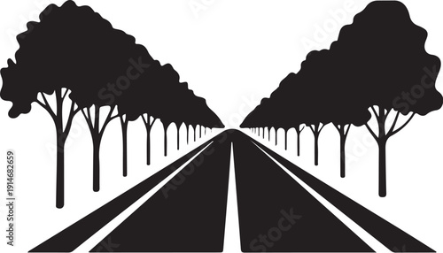 Black and white road with symmetrical trees and large central trees