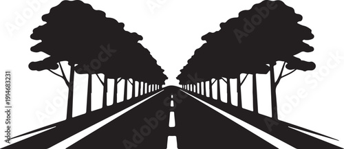Black and white road with trees on both sides nature