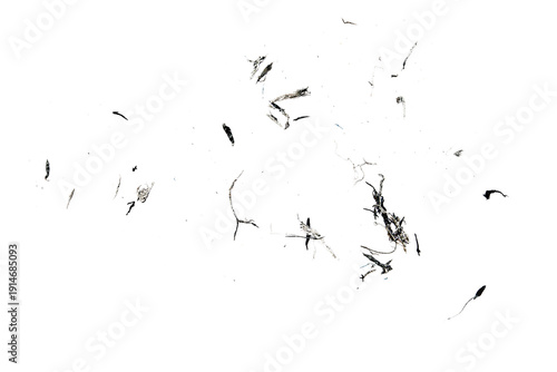 Wallpaper Mural Black eraser scrap, shavings pattern isolated on white background, top view, clipping path	 Torontodigital.ca