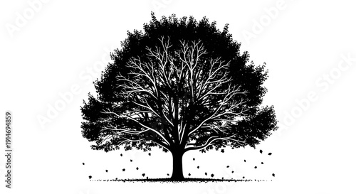 Elegant black and white silhouette illustration of a mature tree with detailed branches and falling leaves, capturing serene beauty and enduring strength of nature's seasonal cycle