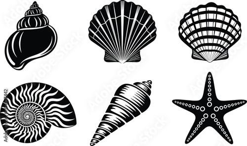 Collection of Seashell and Starfish Silhouette Vector Illustration Set, Different Ocean Sea Shells for Summer Beach Marine Life and Tropical Aquatic Graphic Design,