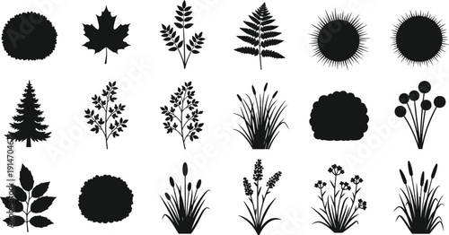 Plant silhouette illustration set, twenty black icons leaves trees shrubs grasses flowers botanical diversity nature design, vector artwork, landscape and environment theme, isolated background